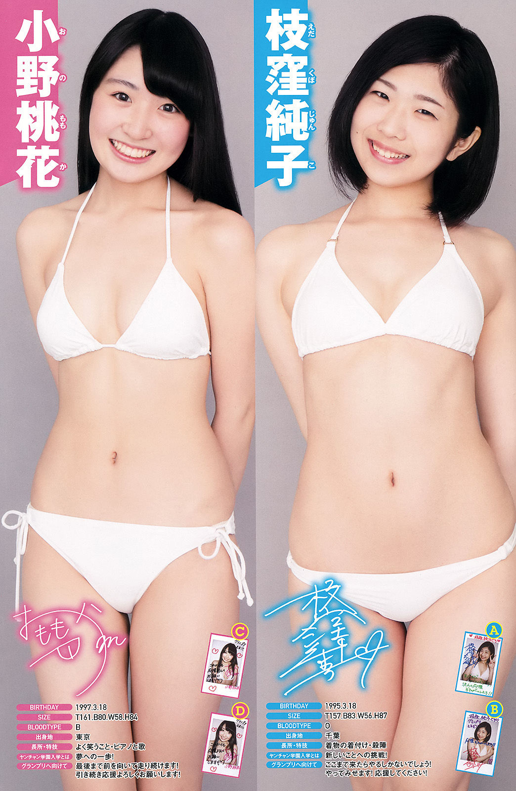 [Young Champion] 2015年No.15 山本彩