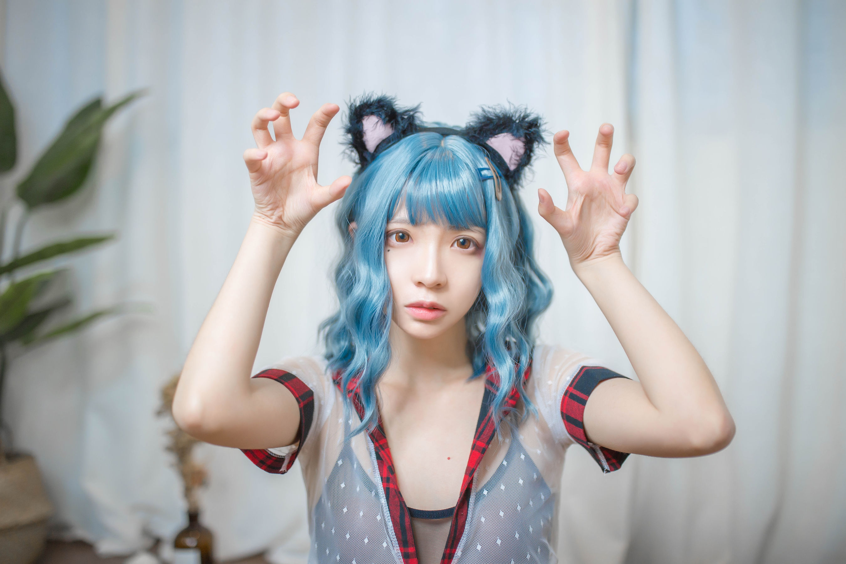 [Cosplay写真] 疯猫ss - 蓝发