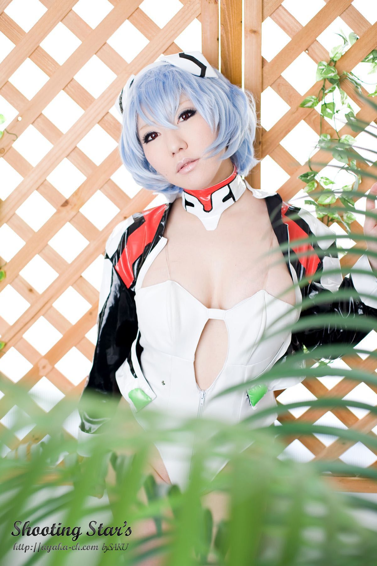 绫香サク 《Shinseiki Evangelion》Ayanami Rei [Shooting Star s]