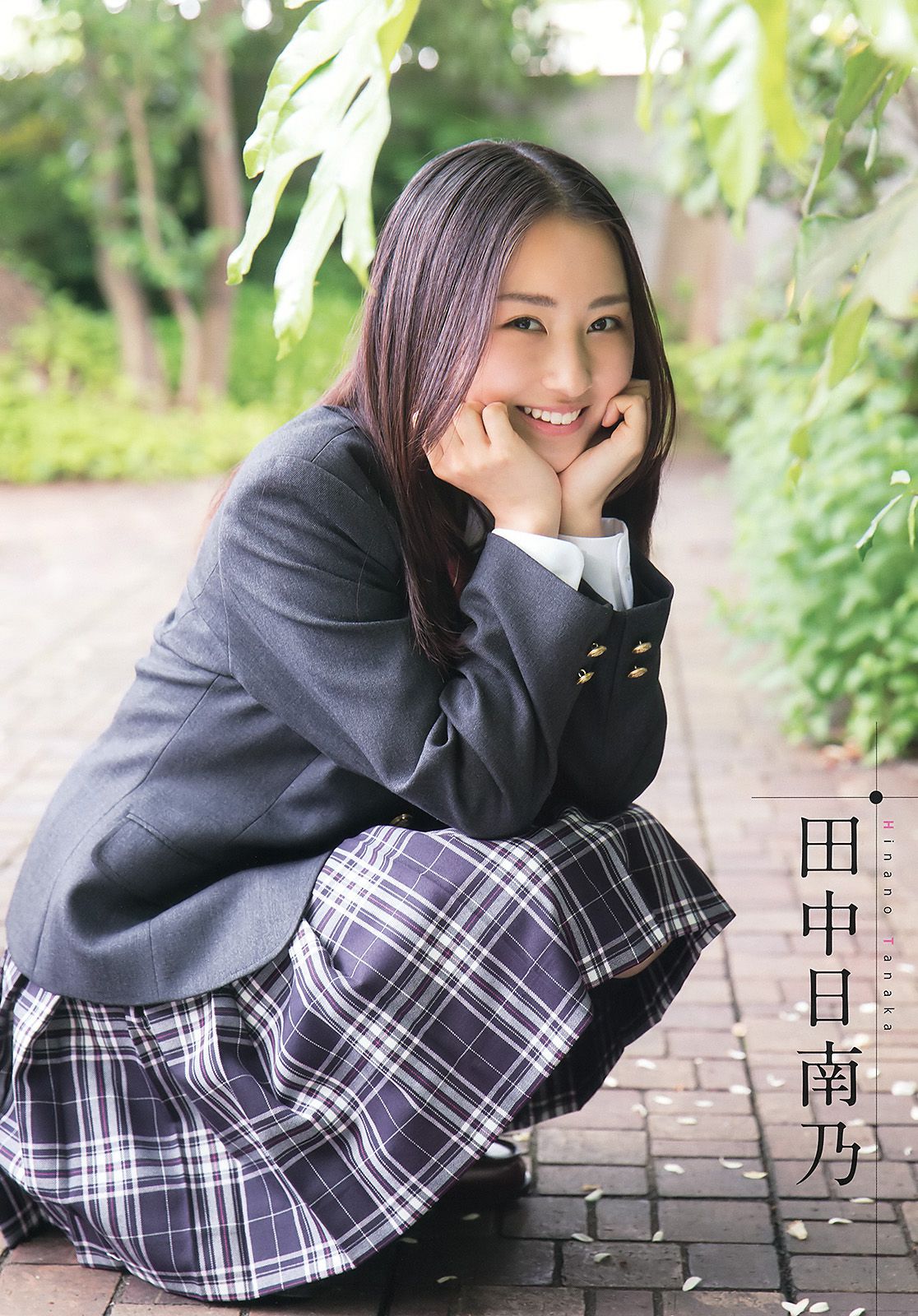 安枝瞳 小宮有紗 谷口愛理 京佳 田中日南乃 籠谷さくら [Young Animal] 2015年No.12 写真杂志