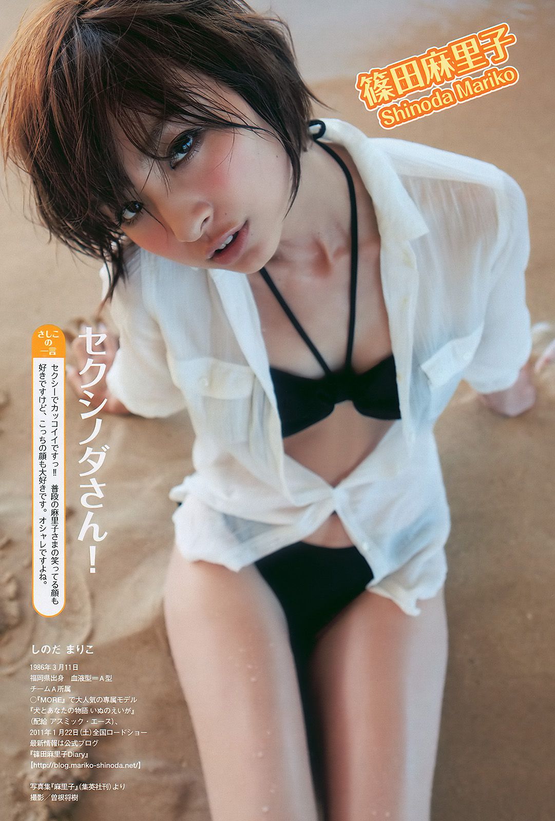 指原莉乃 小池里奈 甲斐まり恵 中村知世 AKB48 鈴木砂羽 [Weekly Playboy] 2010年No.48 写真杂志