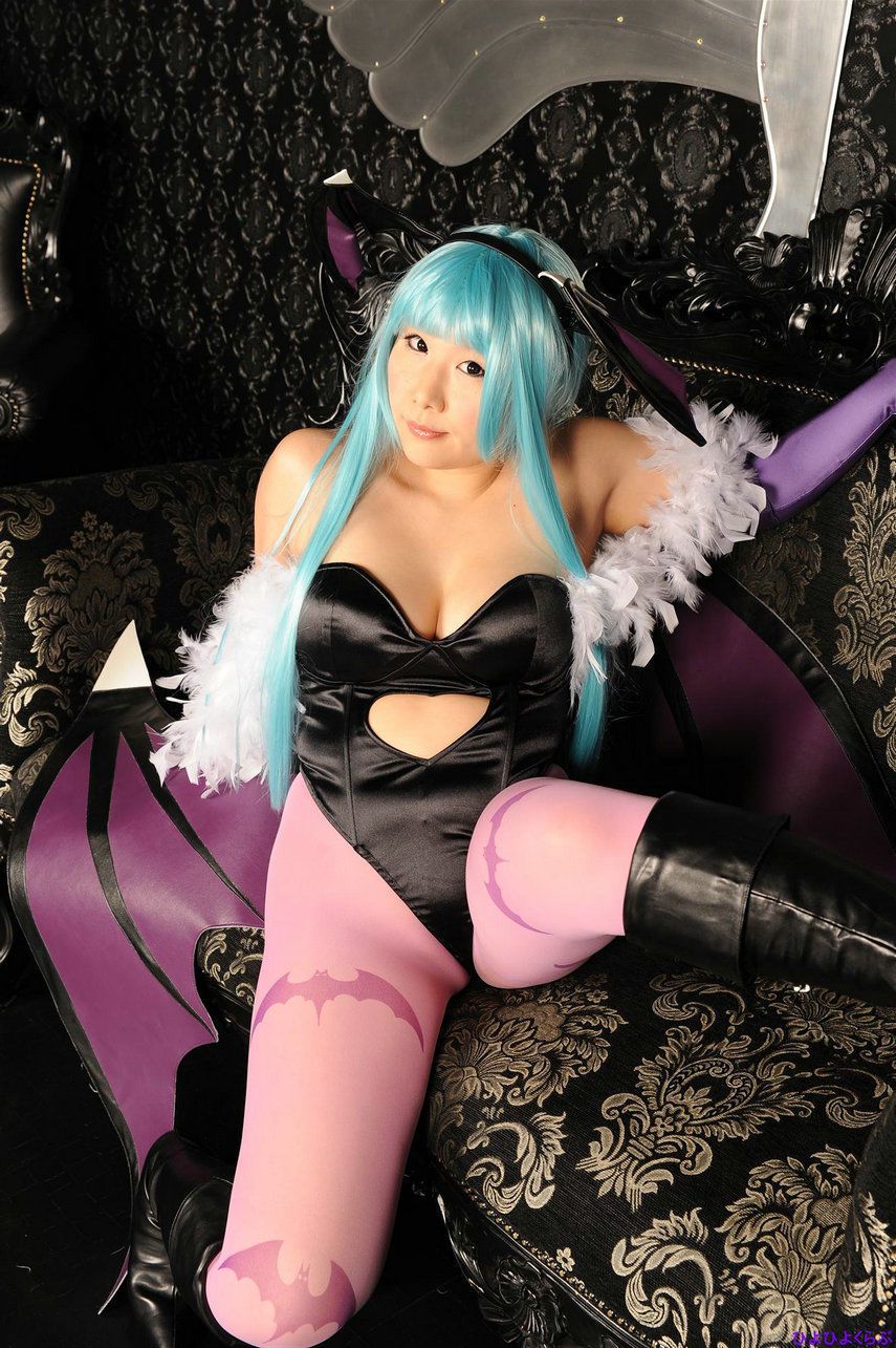 丹雫ひよ (Nishizuku Hiyo) 《Vampire》Morrigan Aensland  [HiyoHiyo Club]