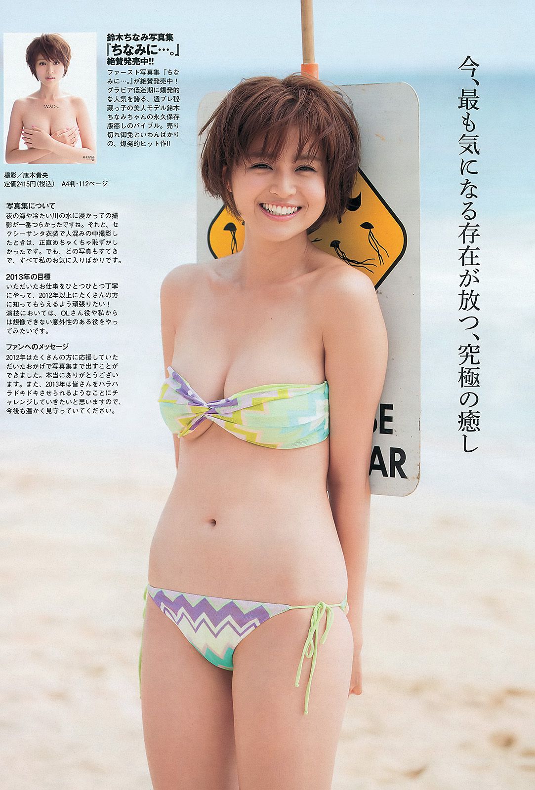 AKB48 芹那 木村文乃 岩﨑名美 杉本有美 壇蜜 金田久美子 穂川果音 [Weekly Playboy] 2013年No.01-02 写真杂志