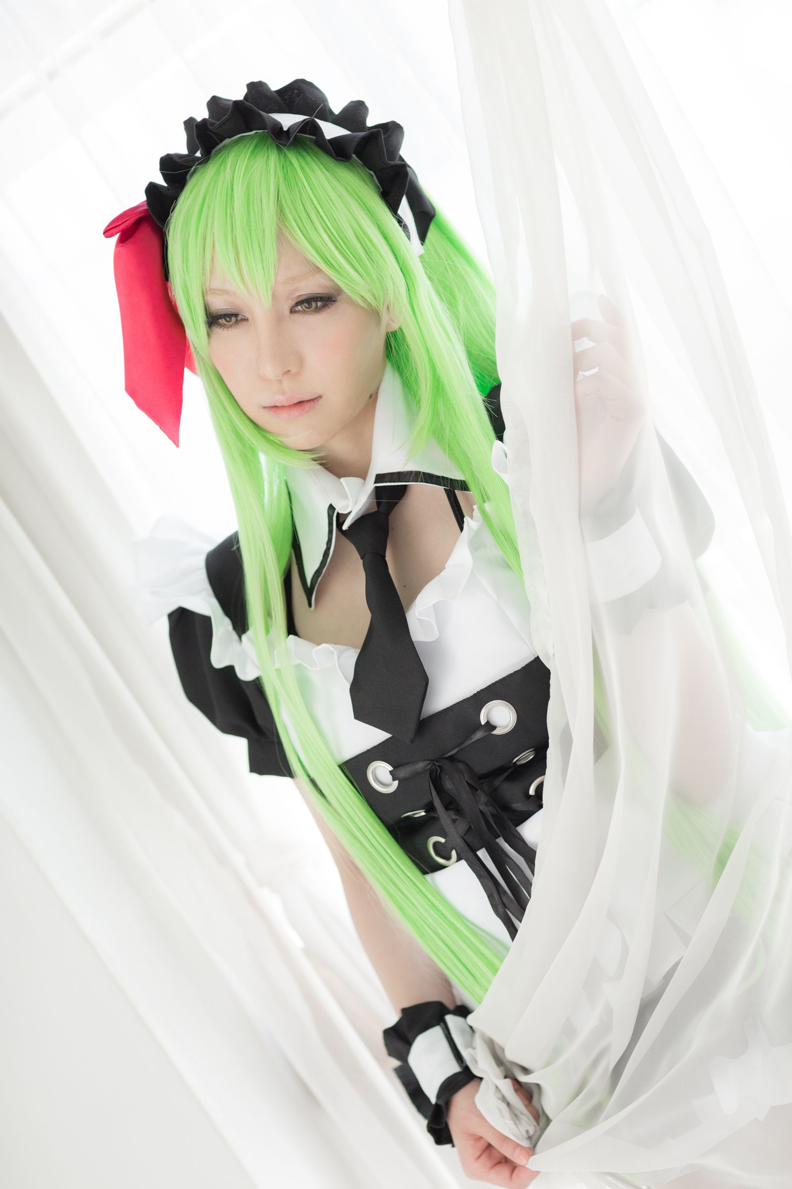 Aoi(葵) 《Code Geass》C.C [bit]