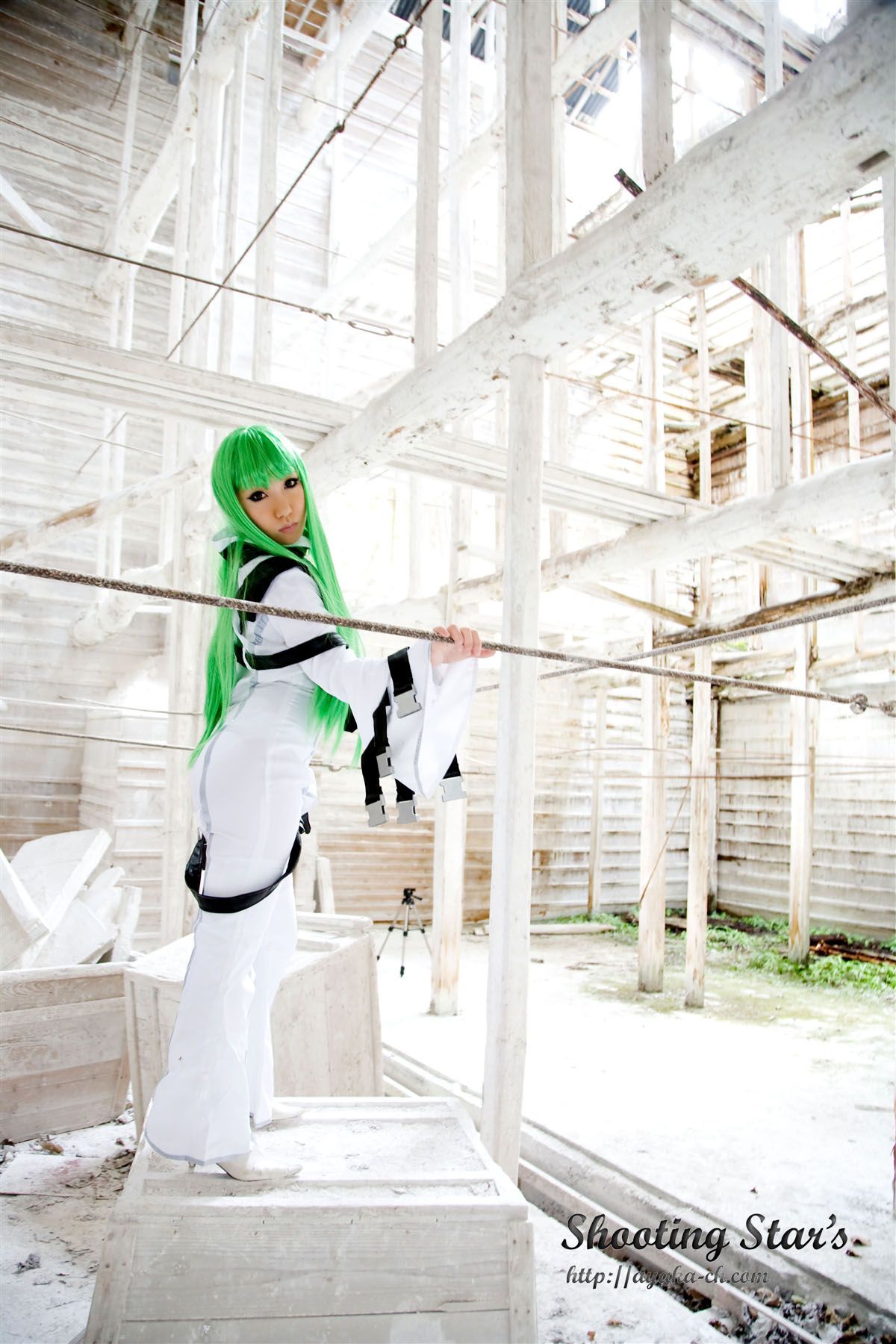 绫香サク (Saku サク Saku Ayaka) 《Code Geass(コードギアス)》C.C