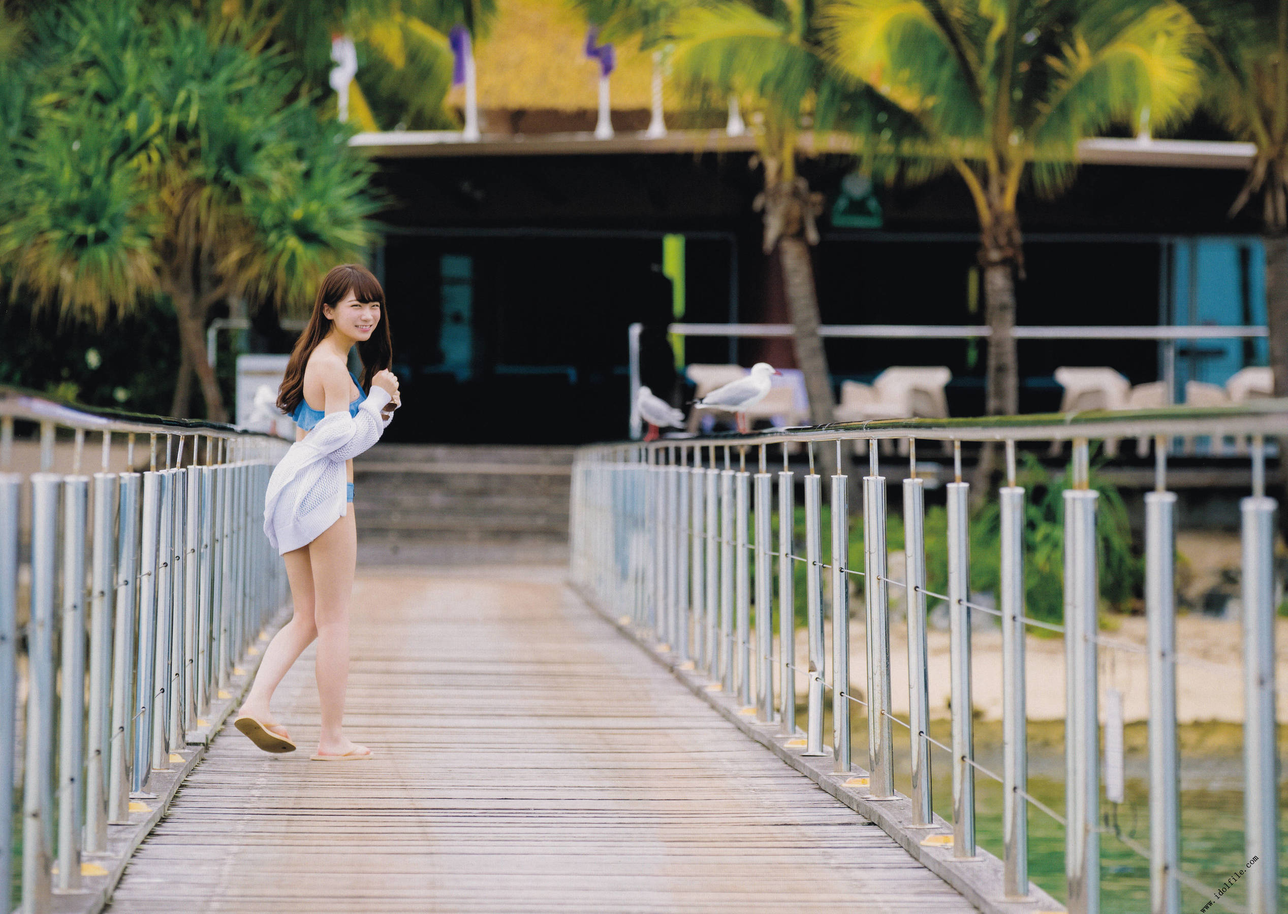 秋元真夏 1st《真夏の気圧配置》 [PhotoBook] 