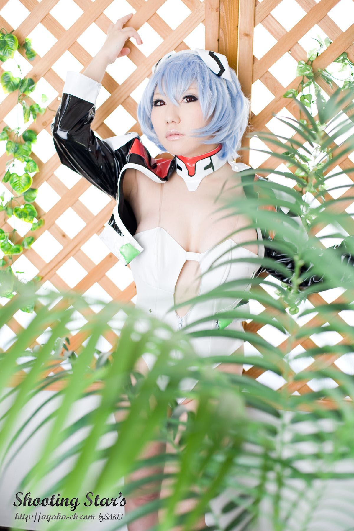 绫香サク 《Shinseiki Evangelion》Ayanami Rei [Shooting Star s]