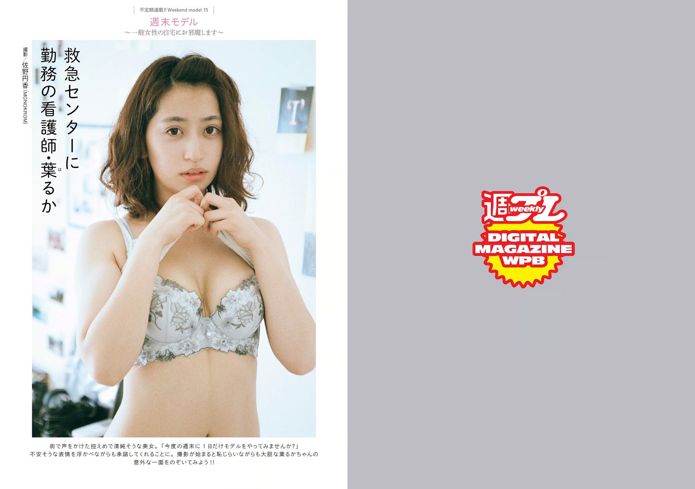 西野七瀬 壇蜜 大川藍 佐々木希 原幹恵 相武紗季 髙木悠未 RION [Weekly Playboy] 2016年No.41 写真杂志