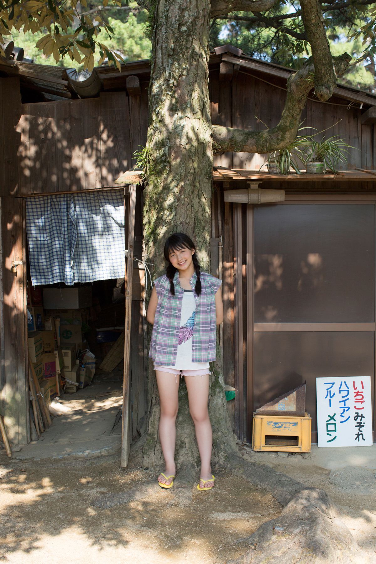 Riho Sayashi 鞘師里保/鞘师里保 [Hello! Project Digital Books] Vol.118 