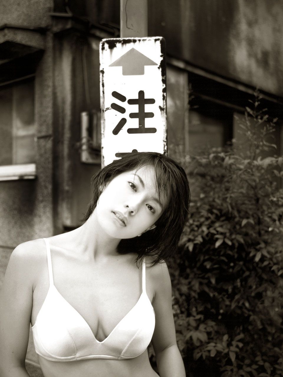 [NS Eyes] SF-No.116 Satomi Ninomiya 二宮理美/二宫理美 