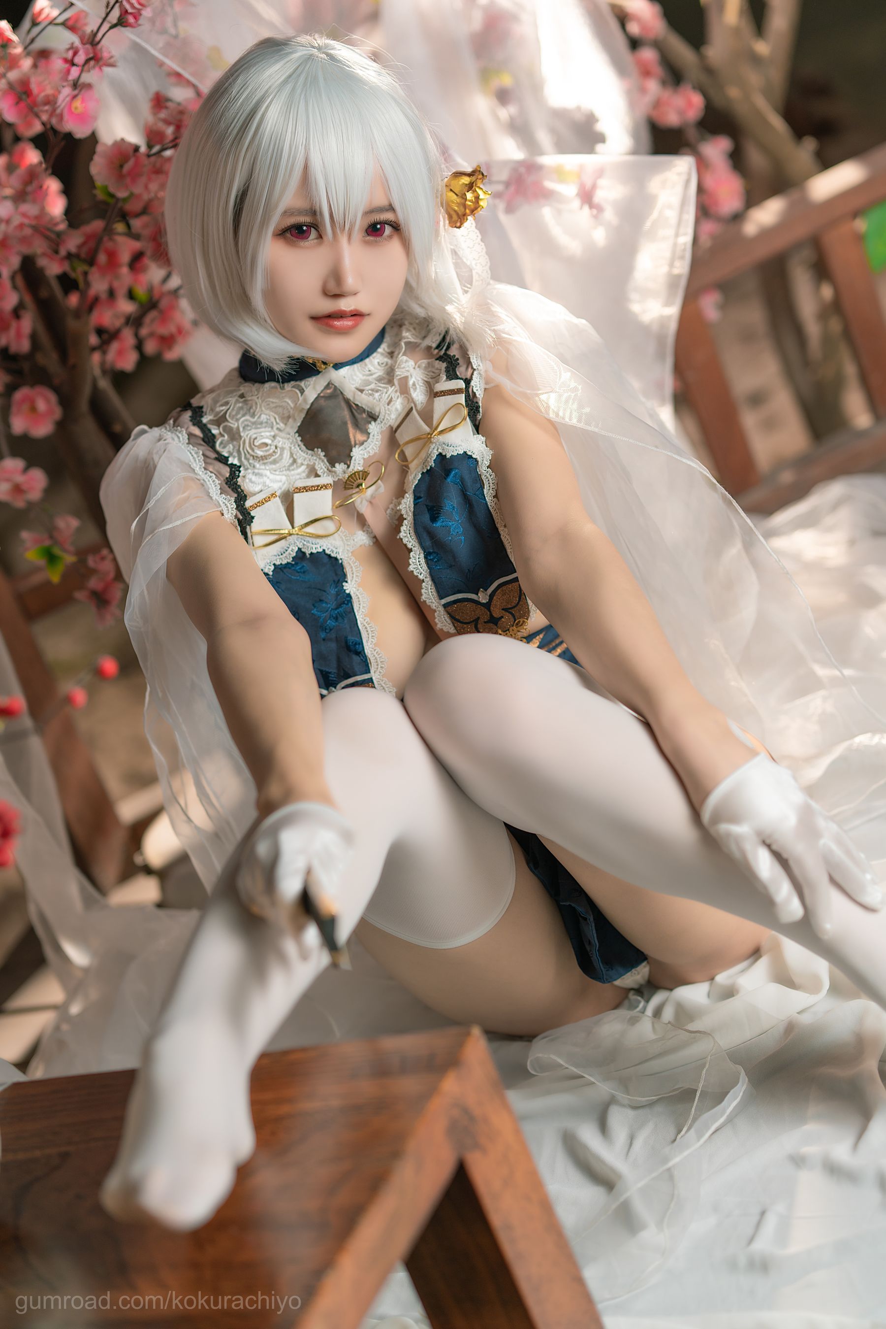 [福利COS] 动漫博主小仓千代w - 天狼星旗袍