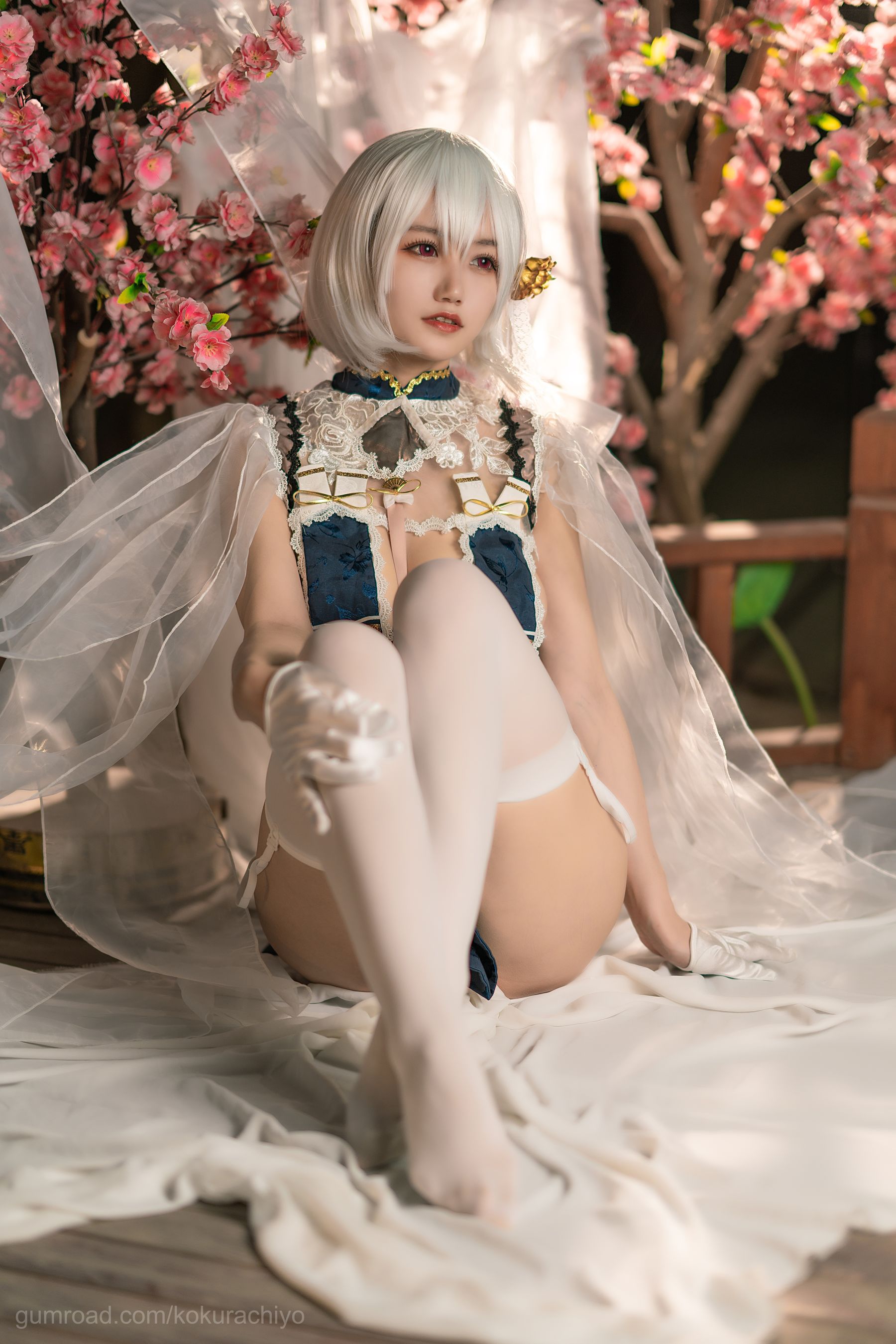 [福利COS] 动漫博主小仓千代w - 天狼星旗袍