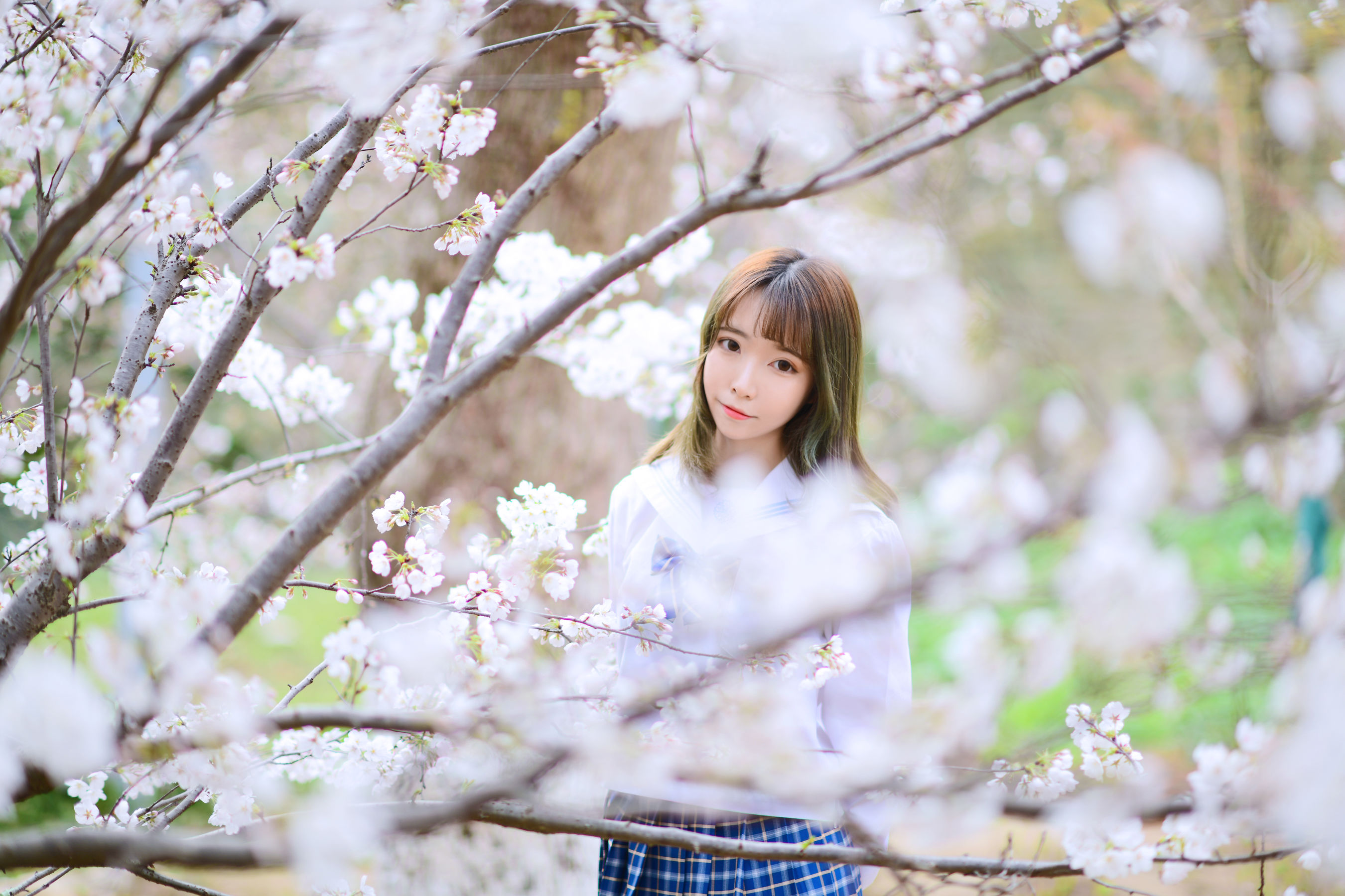 [福利COS] 可爱妹子Fushii_海堂 - 樱花树下